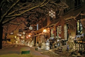 1011-melanie_ferland-petit_champlain_m_mini